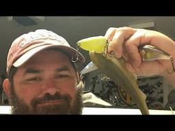 The very best way to catch lake fork bass right now! Fishing tips on guide’s night!!!