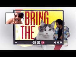 The Black Seeds - Bring The Sun