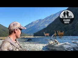HUNTING MOBS OF DEER! Unexpected twist to the hunt.