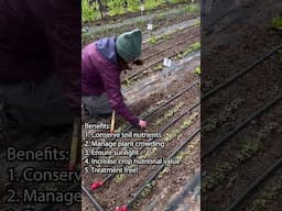 National Weed Your Garden Day