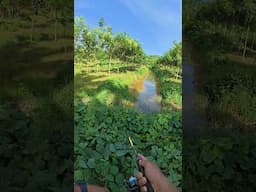 semua butuh proses dan prosesnya butuh waktu #fishing #mancingmania #gabussuper #uqi2017