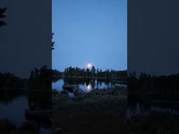 ASMR. Peepers and the moon. #asmr