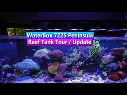 Waterbox 7225 Reef Tank Tour - Saltwater Aquarium Update