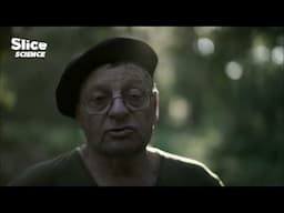 Landes Forest: From Pine Empire to Green Future | SLICE SCIENCE | FULL DOC