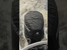 Does your Merc have a cover?