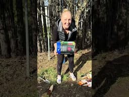 Kia Aroha Campus Garden | Mitre 10 Helping Hands