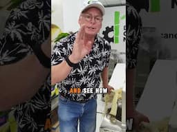 Sugarcane Machine Vs. Banana Trunk ! #shorts #banana #sugarcanejuicemachine #food #Industrialcane