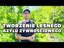 Tworzenie leśnego azylu żywnościowego - Food Forest koło Wadowic - Adam Żyrek, ogrodnik