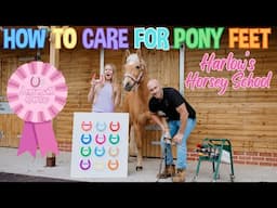 Hoof Care with Harlow's Horsey School! Meet the Farrier!
