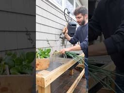 Outdoor Vegetable Washing Station