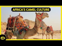 Why Camels are so important in Africa