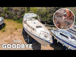 Turning Trash into Treasure: Our 1 Euro Boat Restoration Story ⛵️