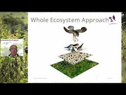 Biodiversity Makeover Initiative for Fingal Housing Estates Webinar Recording