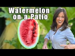 How to Grow Watermelon in Containers & Raised Beds, Easy Patio Gardening