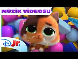 💪 Pes Etme! | Süper Kediler | Disney Kids Türkiye
