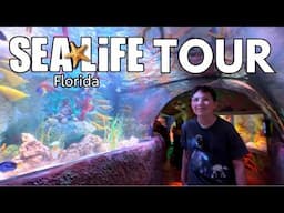 NEW Sea Life Florida at LEGOLAND Florida Resort FULL TOUR