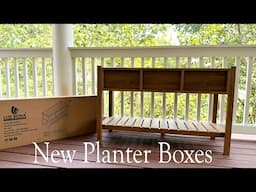 Summer Garden Plants & Lue Bona Planter Collaboration | Simple 30 Minute Build