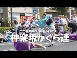 阿波踊りの組踊り「神楽坂かぐら連」2025堀切かつしか菖蒲まつり【Awa Odori in Tokyo／Kagurazaka Kaguraren Performance】（2025.6.8）