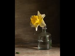 Single Daffodil - Live Oil Painting demonstration.