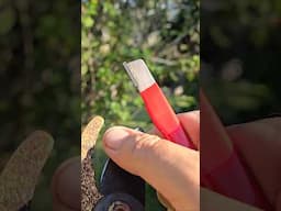 Sharpen Tools FAST! Ignore the Haters It Works!