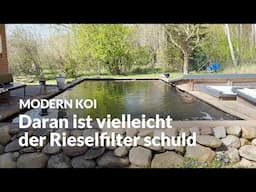 Eine Wasseranalyse an Thomas' Teich  | Modern Koi Blog #7445