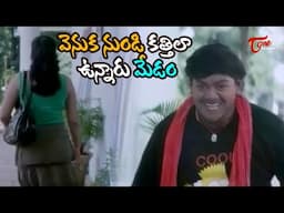 వెనుక నుండి కత్తిలా ఉన్నారు మేడం | MS Narayana And Suman Shetty Comedy Scenes | NavvulaTV