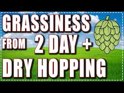 Grassiness from 2 Day + Dry Hopping - Viewer Questions Answered