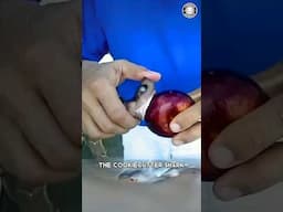 Cookiecutter Shark 🦈 It BITES Out Chunks!