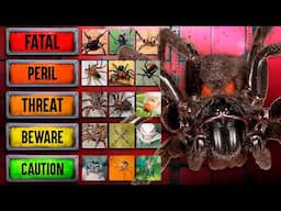 The Deadliest Spiders (Tier List)