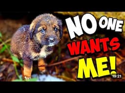 No One WANTS ME ! ….