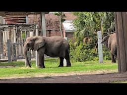 Join us at the Jacksonville Zoo