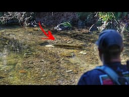 Three Days, Three Species – Trophy Browns, Rainbows & a Surprise Catfish