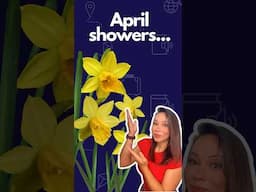 April Shower Bring May Flowers: Learn How to Use This ENGLISH IDIOM ☂