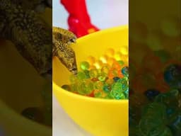 🍛 🥄 Une soupe de vitamines pour les dinosaures malades🦖 🤒 #shortvideo #jeuxenfants #dinosaures