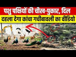 Telangana | अंधेरी रात में जंगल काटने का Video Viral, आखिर क्यों चला Hyderabad के 'दिल' पर Bulldozer