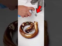 I Tested The Viral Cleaning Foam!