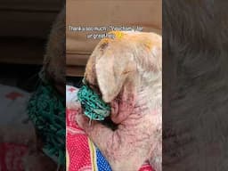 Get well soon thango