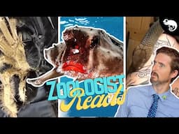 Zoologist Reacts To Viral Animal TikTok