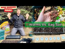Worm Compost vs Store Bought Soil: Planting Garden Starters