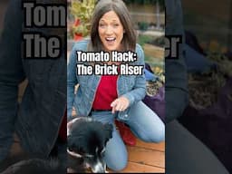 Tomato Container Quickie Hack:  The Brick Riser