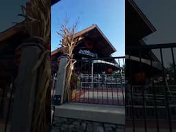Anakeesta fall decor ride along Gatlinburg  #smokymountains #anakeesta #gatlinburg  #pigeonforge