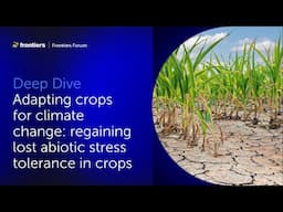 Sergey Shabala and colleagues | Adapting crops for climate change
