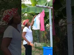 Off-Grid Living In The City: Thriving Food Forest!
