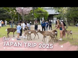 Japan Trip 2025 | What an amazing place!