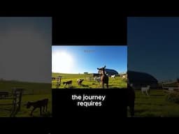 Unlock the Million-Dollar Potential of Goat Farming!