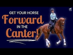 Maintaining Canter: Balance, Forwardness, and Connection