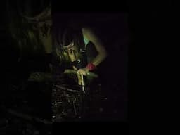 Extreme Overnighter in the Forest