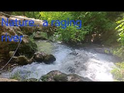 A trip to paradise! Pristine nature, amazing waterfalls, and cool air