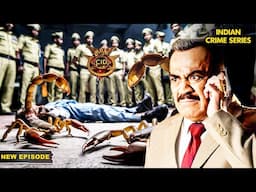 CID ने कैसे किया बिच्छुओं के रहस्य का खुलासा | CID | CID Naya Season | NEW Episode