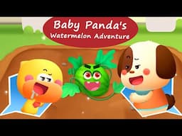 Baby Panda's World Of Science #28 - Watermelon - From Seed to Fruit | BabyBus Games